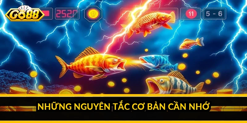 Những nguyên tắc cơ bản cần nhớ